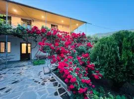 Guesthouse Mtkvari