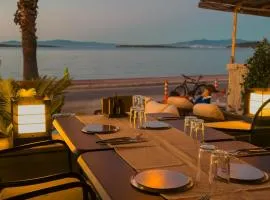 Tare Suites