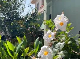 Case vacanze Efisio e Vilma