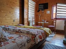 Studio apartman Dragana