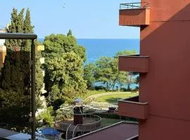 South Beach Vigo Studio