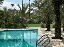 RELAX FARM