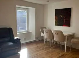 Lower Mill Apartment