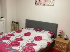 U Tonyho - Apartmán v centru Strakonice 2-kk