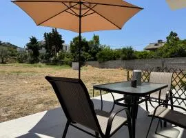 Date Palm Studio