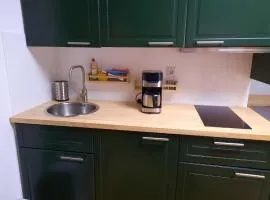 Ferienwohnung am Vilzsee in Mirow, cleaning included