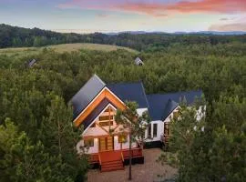 NEW Entertainer Cabin with Spa Games & Playground