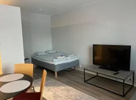 Mäntynäädänkadun yksiö