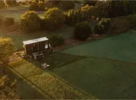 Tiny Al'Molokai by Tiny Away