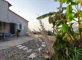 Terra Saronia