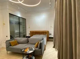 Luxury appartment in Odessa