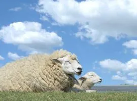 Ferienwohnung Neumann