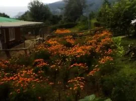 Vamoose Dilpali Mirik
