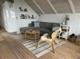 Cozy cottage with sea view