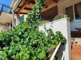 Seaside holiday house Igrane, Makarska - 24635