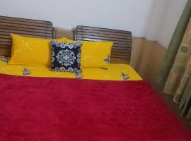 Sood stay inn, hotel in Kulu