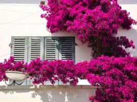 Appartement au cœur de bandol avec parking plage à 1 mn !