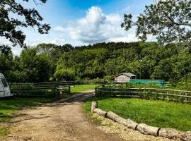 Springfield Oaks campsite