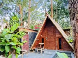 Triangle House and hot spring