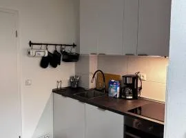 FeWo Vermietung Plauen