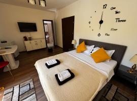 Muller Residence, self catering accommodation in Timişoara