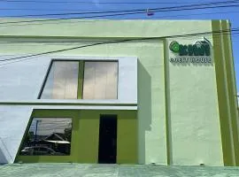 Kiwi Guest House Palangka Raya