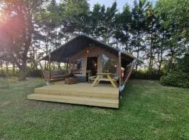 LODGE Premium
