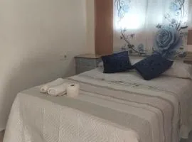 Alojamiento Sheril Zaidín 1