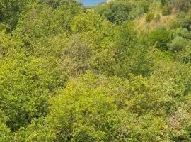 BB Vista Mare - sea view