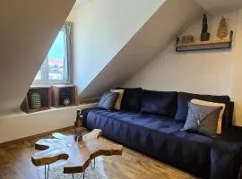 Appartement atypique au cœur de Sallanches