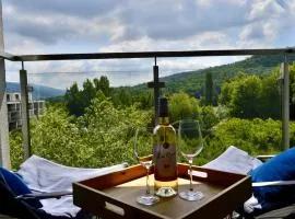 BESKID APARTMENTS Blisko szlaków górskich WIFI Parking Klimatyzacja Beskidy Rowerownia