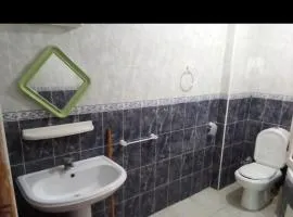 Diamant vert Sidi Bouzid