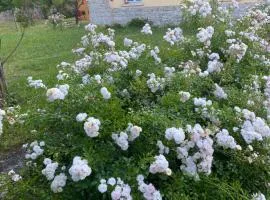 Casa Vacanza Alle Pratoline covered parking for bicycles and motorcycles