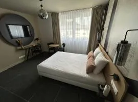Nemea Appart Hotel Coeur Europe Strasbourg Illkirch