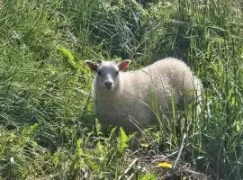 Cosy family farmhouse