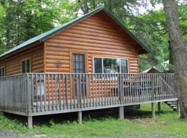 Cabin 3, viešbutis mieste Deer River