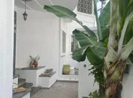 Syrah Home