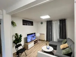 Magnifique Appartement Montpelliérain
