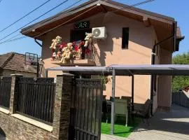 Casa Rustica Cernica