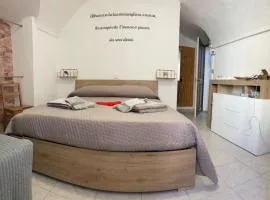 Sensi di Vini
