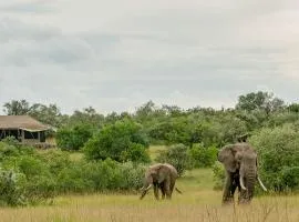 Mattikoko Safari Camp
