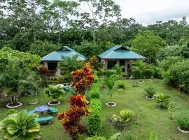 Acuarelas del Arenal