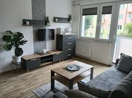 Ustecka Muszelka