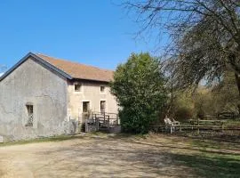 Gîte chaleureux au bord d'un ruisseau avec grand jardin, proche Metz et Nancy - FR-1-584-64