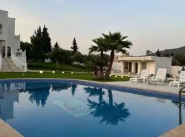 Villa amsa