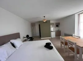 Modern Home for 2 guest in loire