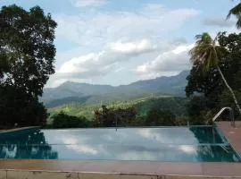 Paradise Forest Garden