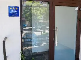 Studio Apartment Enter