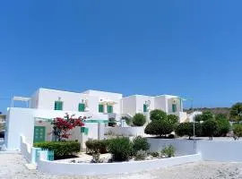 Psilandis Studios