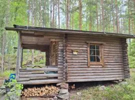 Metsäsydän mökki 3 Vinksinvonksin